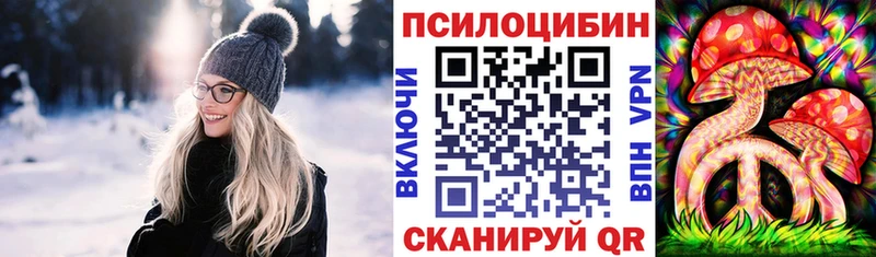 Галлюциногенные грибы мицелий  Волхов 