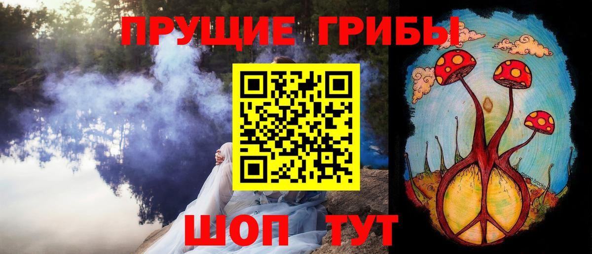 Волхов  Псилоцибиновые грибы Magic Shrooms  Вход с VPN 